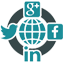 Social Media Optimization